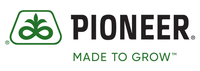 Logo Pioneer