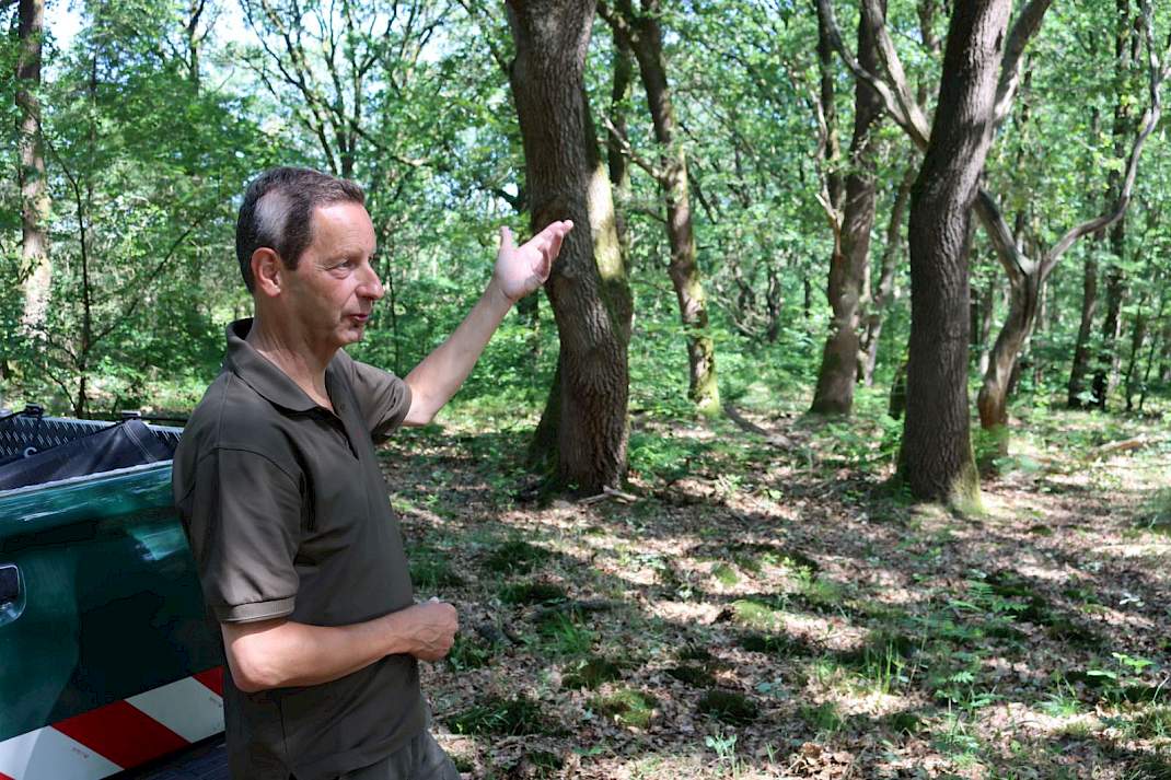 Henk Jan Zwart bij het eikenstrubbenbos in Ermelo.